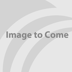 Greens on Navy Pasifika Palms Cotton