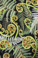 Ferns - Extra Wide, Kiwiana 100% Cotton Backer