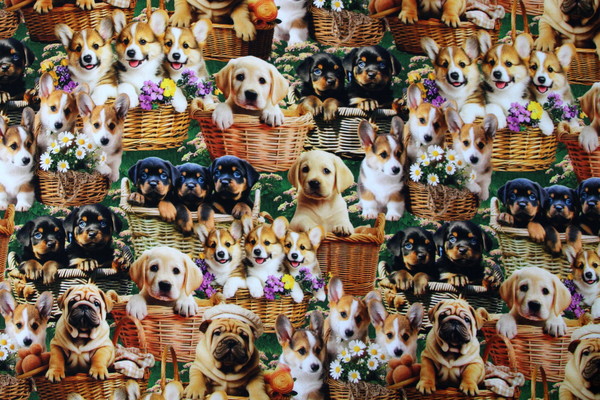 Furry Fun Puppy Love in Baskets Premium Printed Cotton