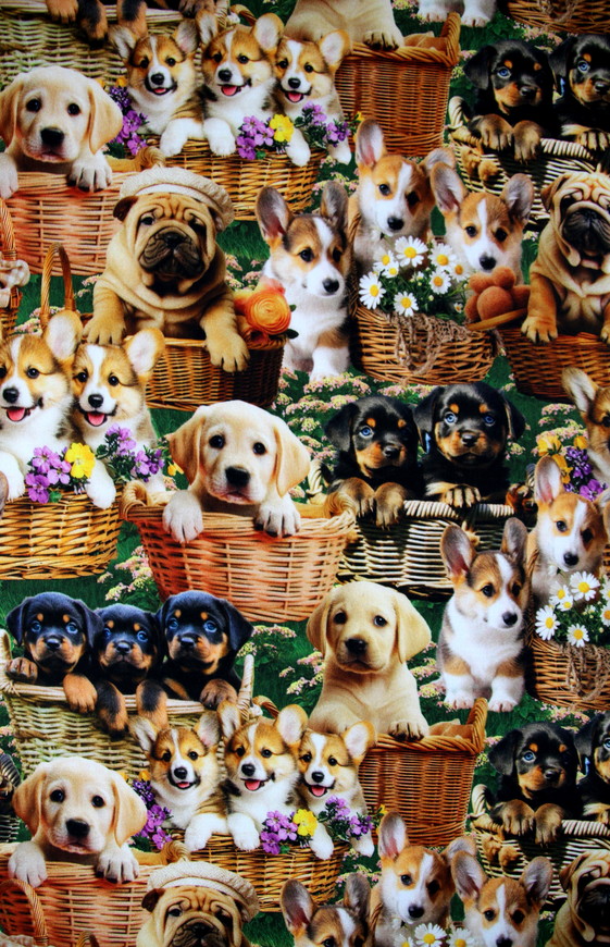 Furry Fun Puppy Love in Baskets Premium Printed Cotton