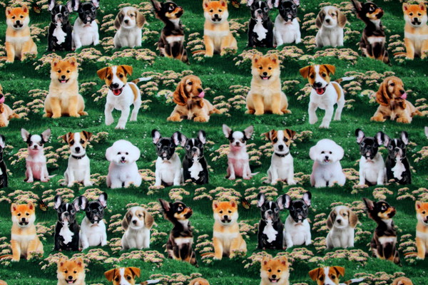 Furry Fun Puppies in The Garden Premium Printed Cotton