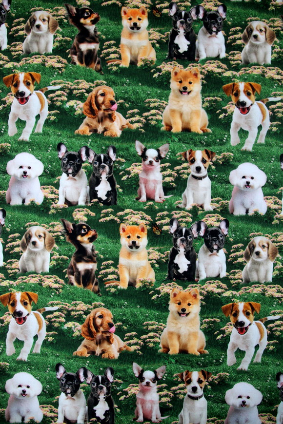 Furry Fun Puppies in The Garden Premium Printed Cotton