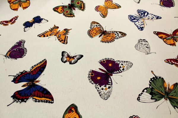 Lovely Butterflies Canvas