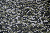 Khaki Camo Premium Printed Cotton New Image