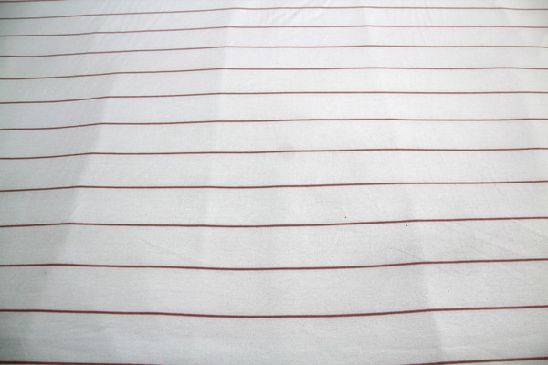 Dusky Pink Stripe on Ivory Cotton Lycra New Image