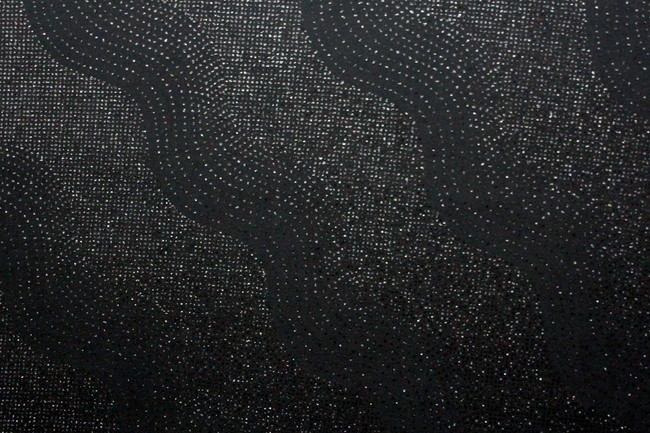 Black Embossed Sparkle Lycra Knit