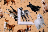 Furry Fun Tossed Dogs Premium Printed Cotton