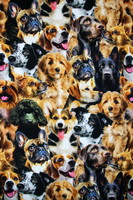 Furry Fun Crowded Dogs Premium Printed Cotton