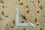 Footsteps in the Sand Printed Cotton New Image
