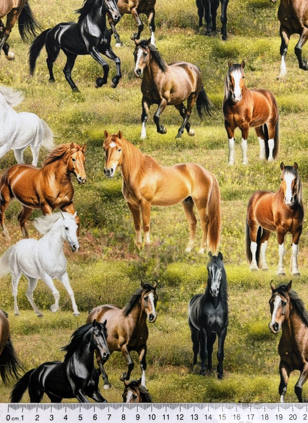 Horses Running Free Premium Cotton