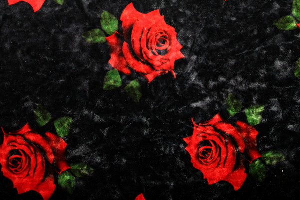 Romantic Rose on Black Crushed Velvet