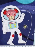 * REDUCED * Rockets in Space Printed Panel