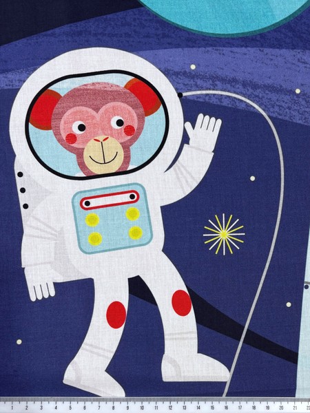 * REDUCED * Rockets in Space Printed Panel