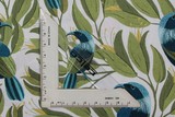 Tui - Bird Stories Premium Cotton