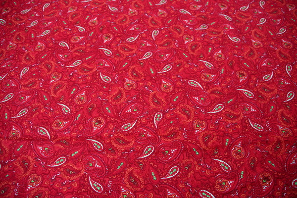 Red & Orange Paisley Printed Cotton New Image