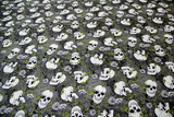 Grey Skull-Duggery Premium Printed Cotton
