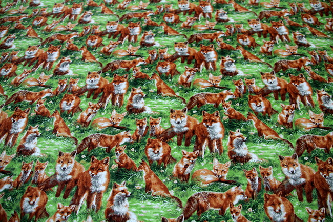 Feild of Foxes Printed Cotton New Image