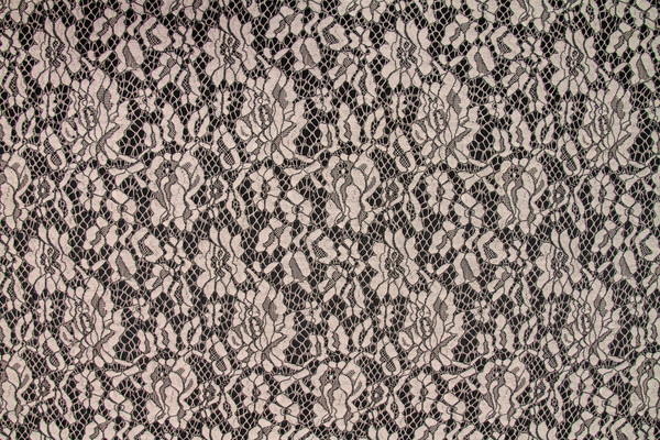 Corded Neutral Lace Panel