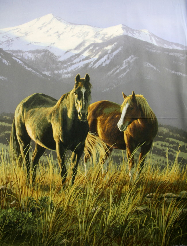 Wild Horses On The Mountain Range