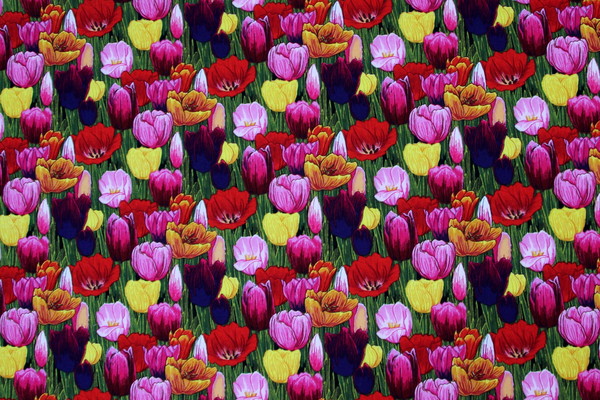 Bright Tulips on Black Printed Premium Cotton