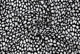 Black & White Leopard Print Polyester