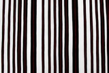 Black & Red Stripe on Ivory Rayon