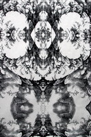 Black & White Graphic Tree Printed Linen Blend