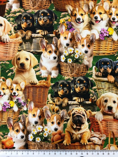 Furry Fun Puppy Love in Baskets