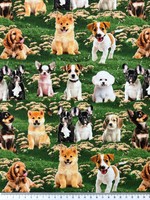 Furry Fun Puppies in The Garden