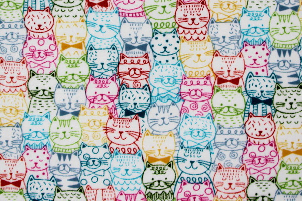 Whiskers Cat Portraits Printed Premium Cotton