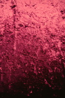Deep Cranberry Crushed Stretch Velvet