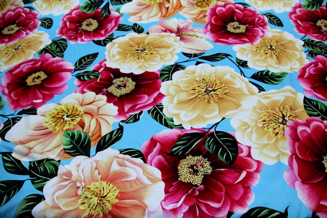 Large Camellias on Bright Blue Digital Print Stretch Cotton Sateen New Image