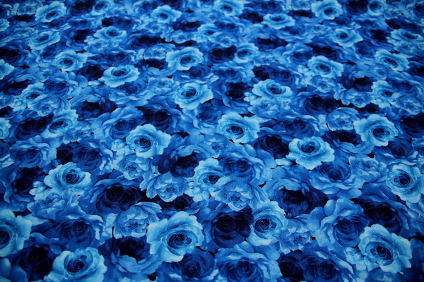 Blue Toned Roses Printed Cotton New Image