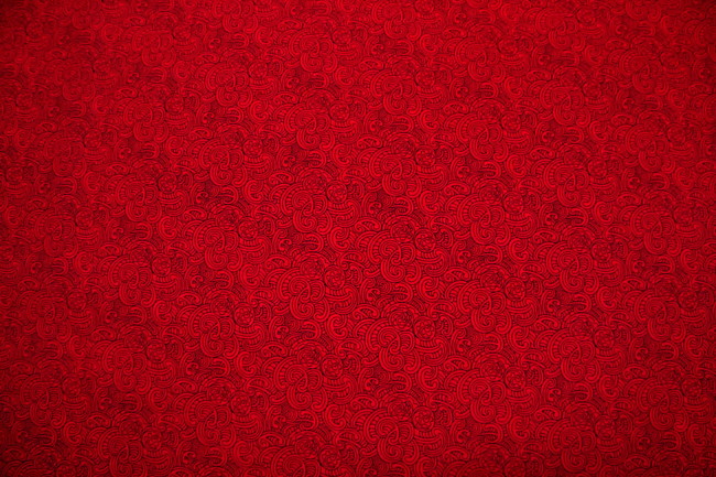 Red Ponga Koru Design Kiwiana Cotton