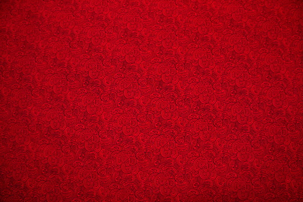 Red Ponga Koru Design Kiwiana Cotton