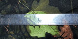 Leaves & Trees Dark Hunter Camo Polycotton Drill