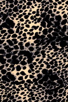 Leopard Print Pin-Cord