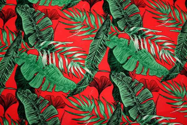 Palm Leaves Printed Light-Weight Polyester