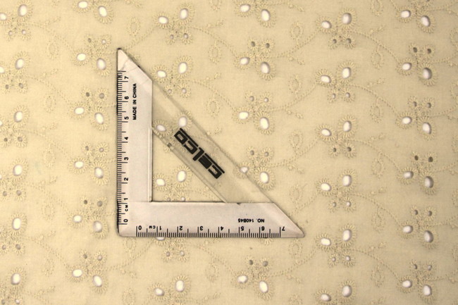 Creamy Beige Broderie Anglaise