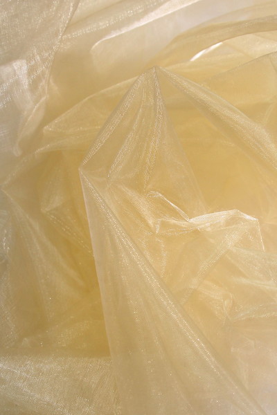 Soft Champagne Organza