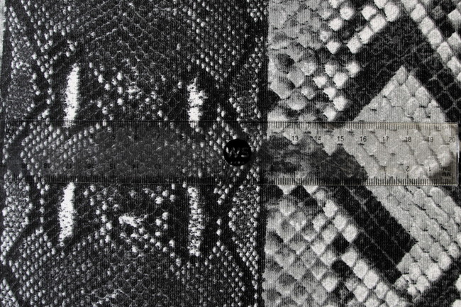 Black & Greys Striped Snake Ponti de Roma