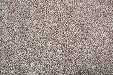 Mini Leopard Print on Ivory Rayon