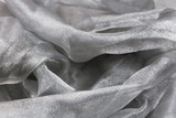 Shimmering Silver Organza