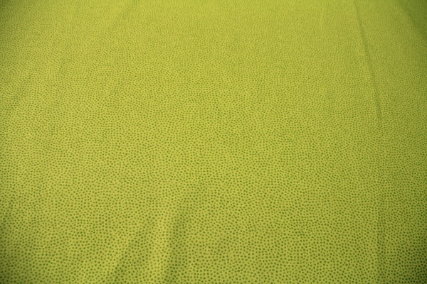 Lime on Lime Dotty