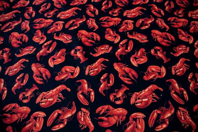 Red Lobster Printed Cotton
