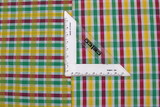 Green Stripes Reversable Cotton Check