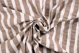 Soft Beige & Ivory Striped Stretch Seersucker