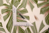 Green Palm Leaves on Ivory Printed Bamboo Cotton Blend