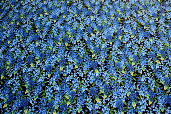 Vibrant Blue Wisteria Printed Cotton