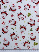 Little Santa on White